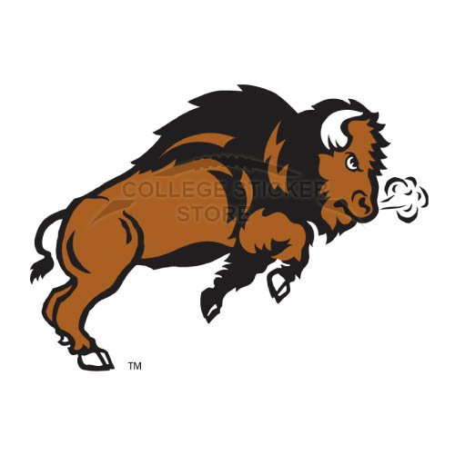 Personal North Dakota State Bison Iron-on Transfers (Wall Stickers)NO.5602